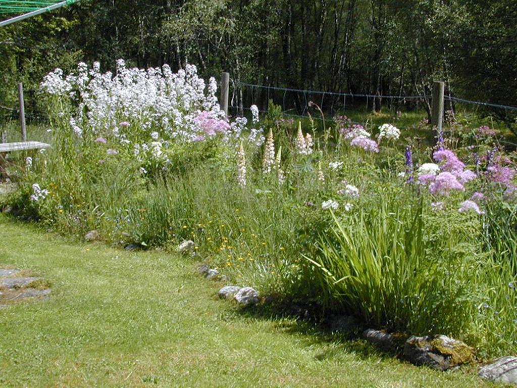 Torcroft Lodges Drumnadrochit Quarto foto